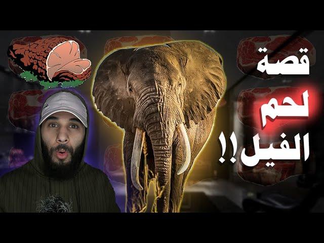 اكلوا لحم الفيل شوف ايش صار لهم!!