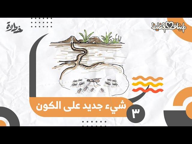 القوامة أم شيء جديد على الكون؟